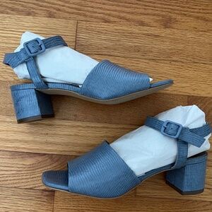 Everlane Slate Blue Block Heel Sandals